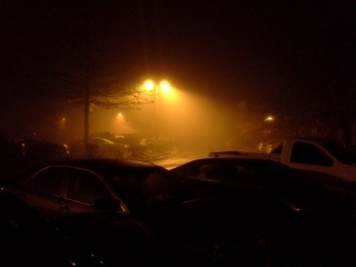 Illustration for article titled Some intense fog tonight!